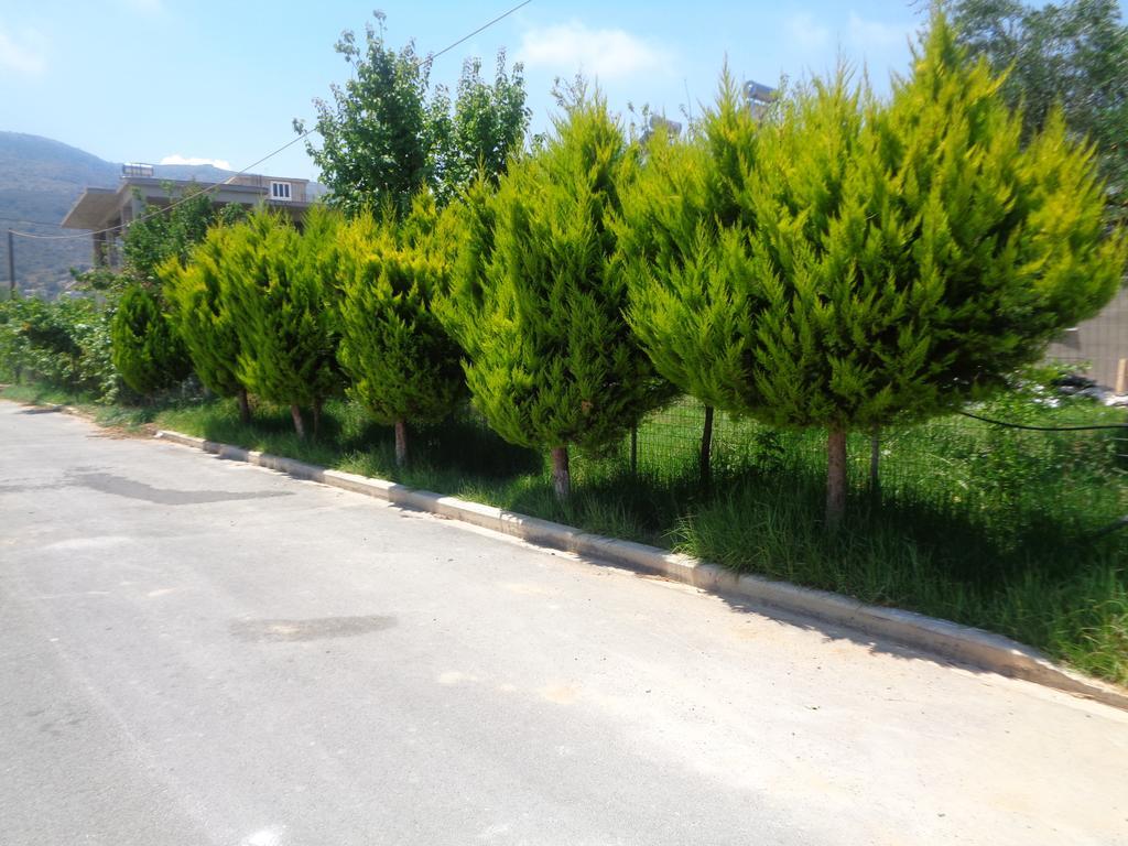 Creta Nostos Luxury Apartment Tsikalaria  Kültér fotó